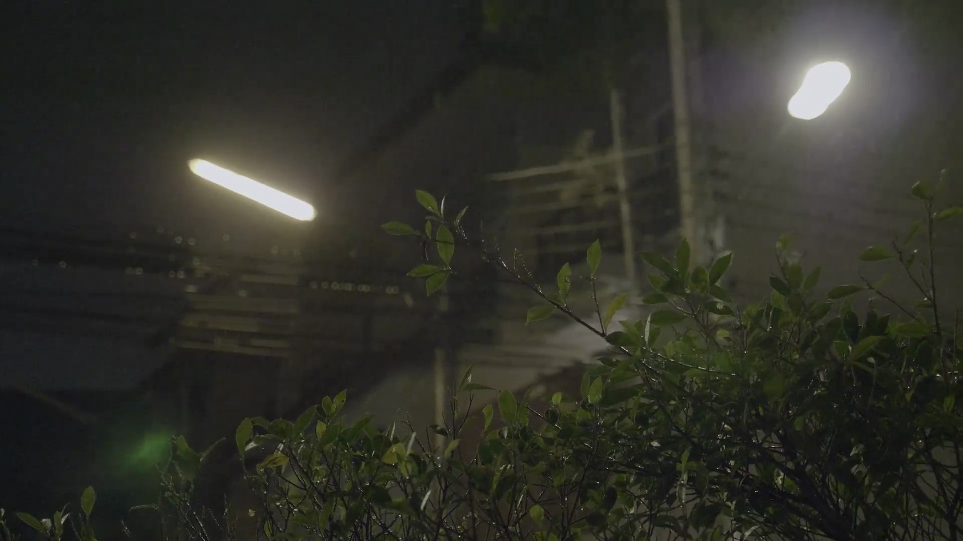 热带雨夜倾盆大雨