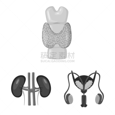 里面,医疗标志,泌尿系统,膀胱,前列腺,人类骨架,人,背的，脊的,灰色