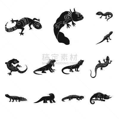 环境,动物园,图标集,可爱的,灰色,野生动物,蜥蜴,动物,飞龙科蜥蜴,设计