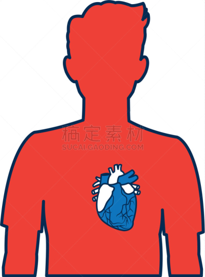 男人,人类心脏,生理学,生物学,矢量,图表,膀胱,图像,剪影,生病
