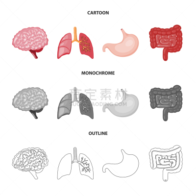 生物学,科学,品牌名称,酸,健康保健,植物群,空肠,脑回,设计,思考