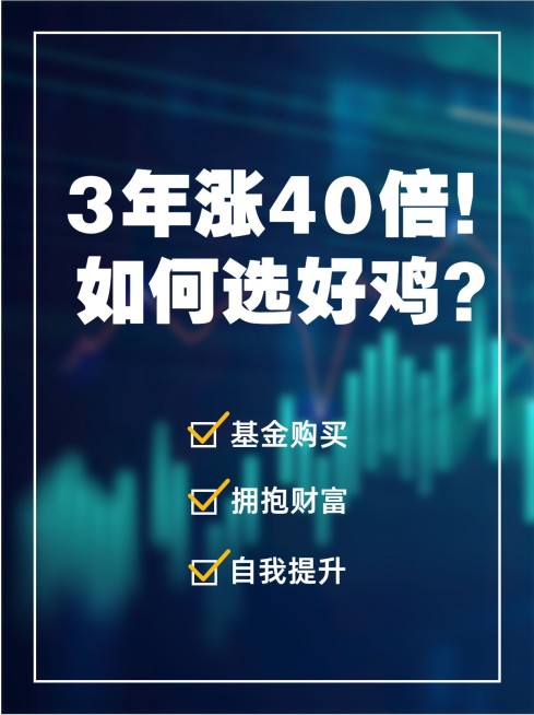 基金理财知识分享小红书封面配图预览效果