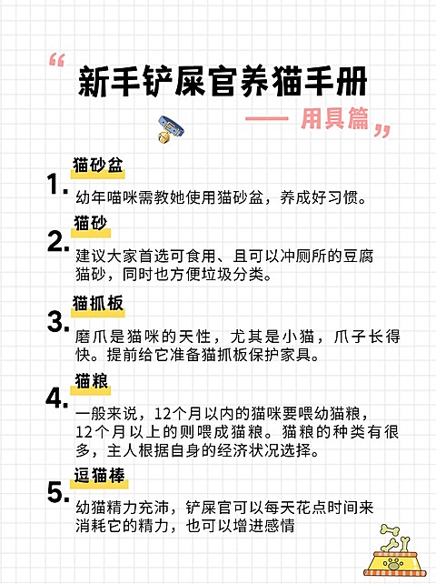 简约宠物知识科普小红书封面配图