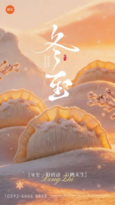 冬至节气祝福通用3d毛毡风竖版海报预览效果