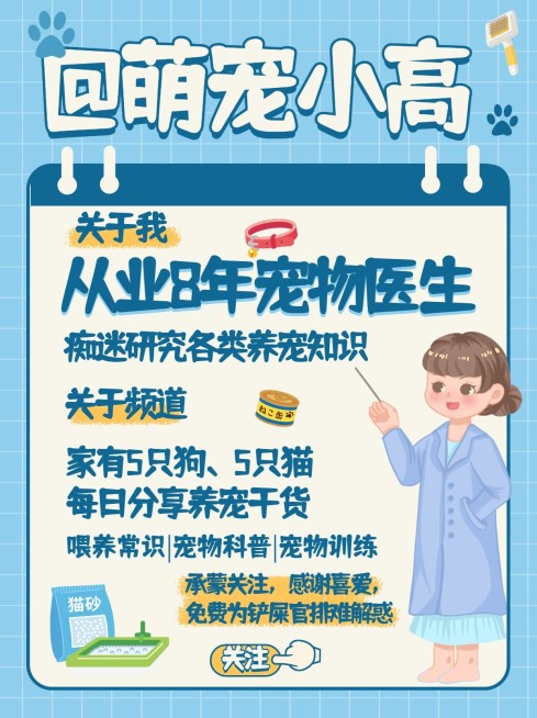 可爱手帐风萌宠博主频道自我介绍小红书配图预览效果