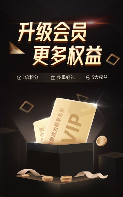 会员活动黑金风奢华感电商竖版海报预览效果