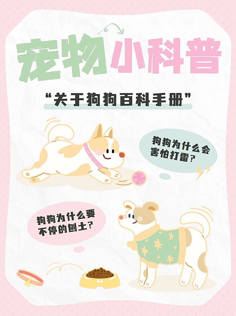 宠物知识科普手帐风小红书套装小红书封面