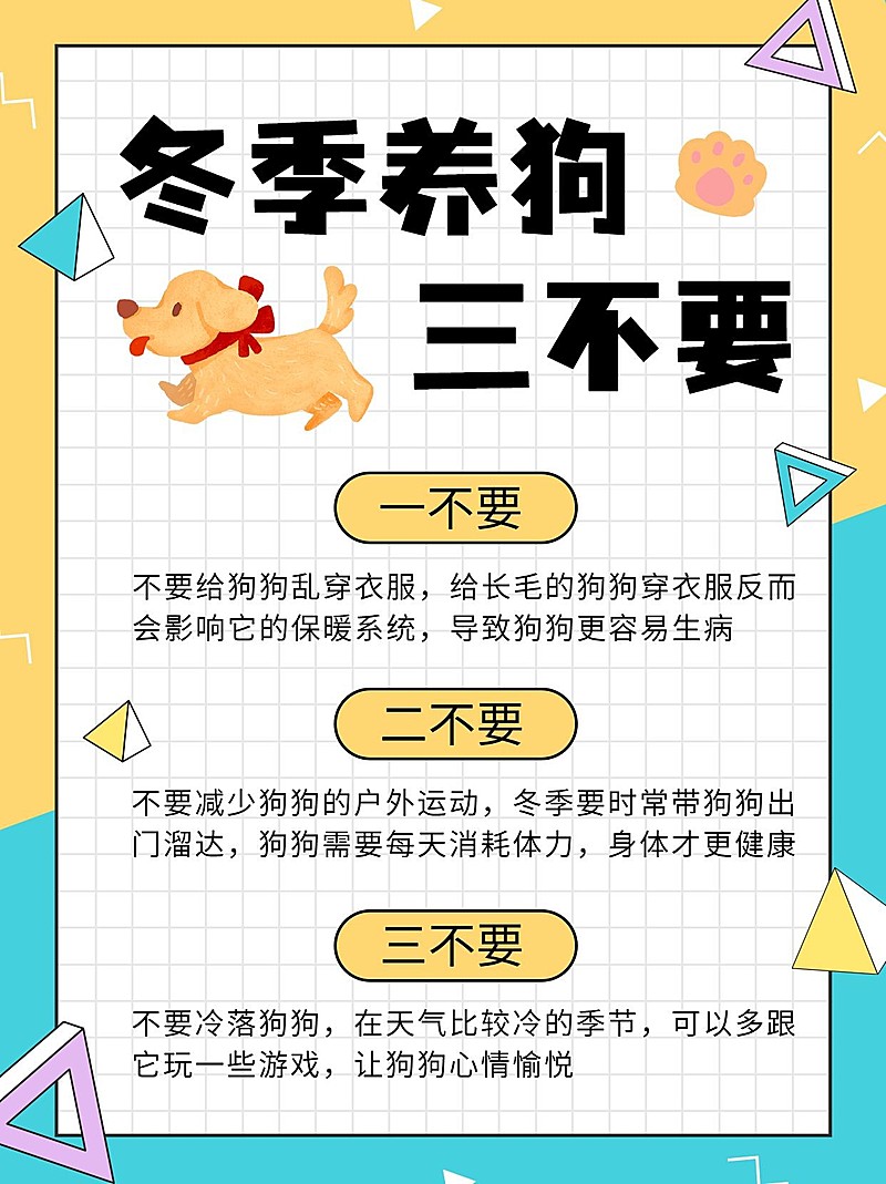 卡通可爱萌宠知识分享小红书配图