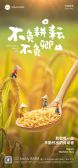 模板缩略图