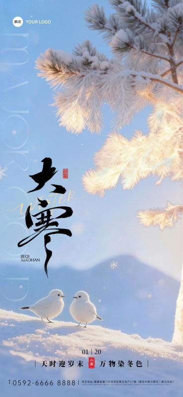 大寒节气祝福通用实景感雪景竖版海报预览效果
