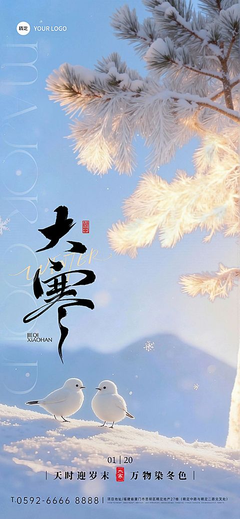 大寒节气祝福通用实景感雪景竖版海报