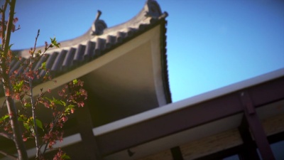 樱花环绕的日本古塔建筑盘