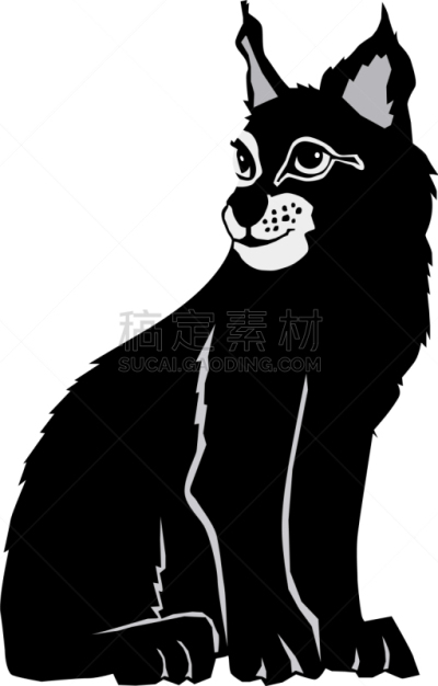 山猫,白色,欧洲,自然,国内著名景点,野生动物,肖像,图像,猫,哺乳纲