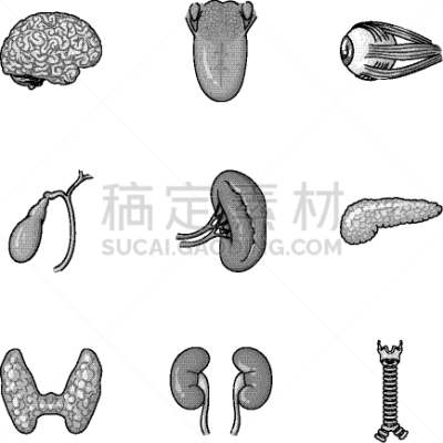 巨大的,单色调,时尚,计算机图标,分离着色,人,品牌名称,布置,收集