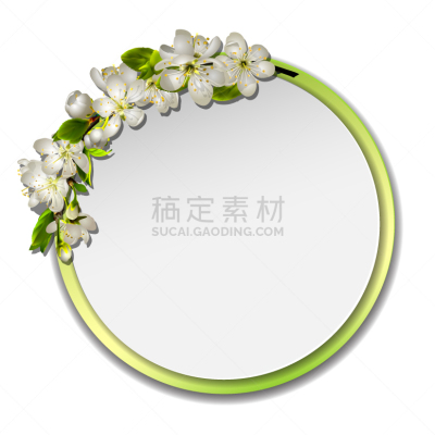 花朵,樱桃,枝,圆形,春天,边框,白色,自然,华丽的,问候