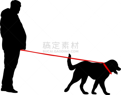 狗,男人,白色背景,纯种犬,梗犬,动物,斯班尼犬,剪影,坐,训练