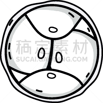 生物学,脱氧核糖核酸,胚胎,成一排,卵子,人,科学,生物科技,分割