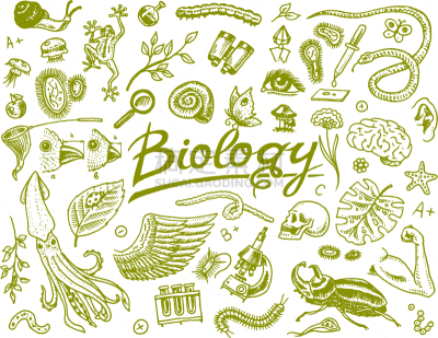生物学,科学,实验室,图标集,健康保健,显微镜,技术,分子,设备用品