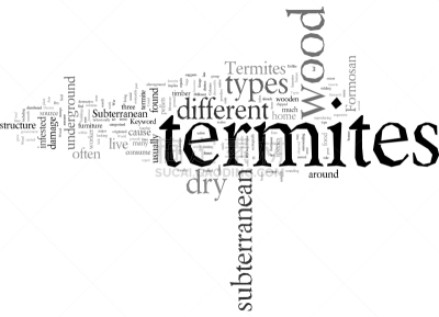 different types termites