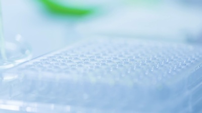 科学家和生物实验室实验