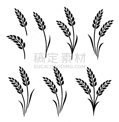 黑色,抽象,全麦,动物手,生物学,大麦,谷物,面包,食品,绘制