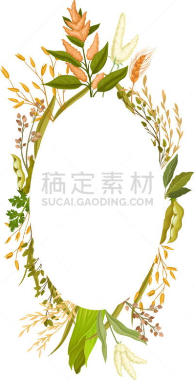 叶子,反差,人的耳朵,边框,欧弗,农业,蔬菜,华丽的,谷物,熟的