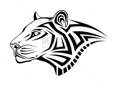 美洲豹,野生动物,猎豹,彪马,狮子,哺乳纲,自然美,动物,剪影