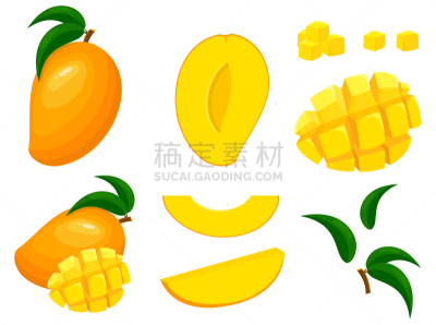 水果,有机食品,矢量,式样,清新,绘画插图,卡通,切片食物,切断