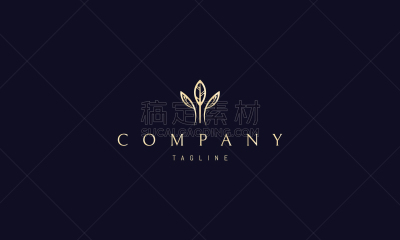 抽象,图像,黄金,平衡折角灯,品牌名称,商务,华贵,环境,郁金香,女人