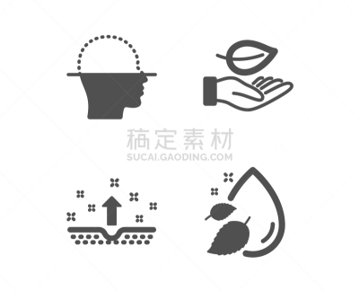 干净,叶子,水,平板扫描仪,动物皮,计算机图标,黑色,顺序,生物学,探索