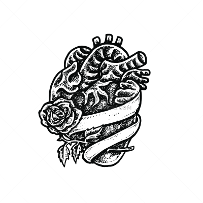 人类心脏,数字1,生物学,玫瑰,健康保健,周年纪念,药,热情,浪漫,绘画插图