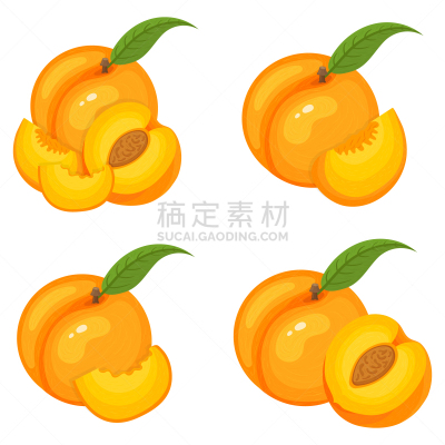 矢量,桃,绘画插图,水果,有机食品,切片食物,清新,切断