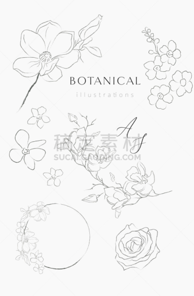 边框,线条画,枝,矢量,花环,华丽的,请柬,铅笔,简单,复古风格
