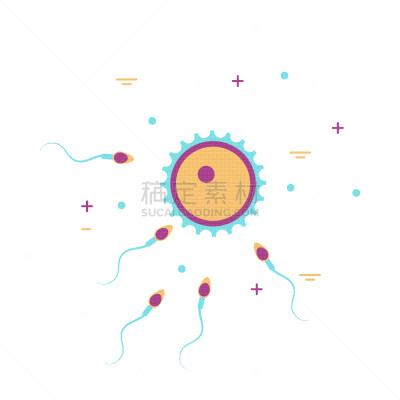 卵子,精子,生物学,人造的,健康保健,显微镜,人