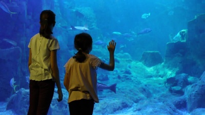孩子们在大水族馆里看鱼