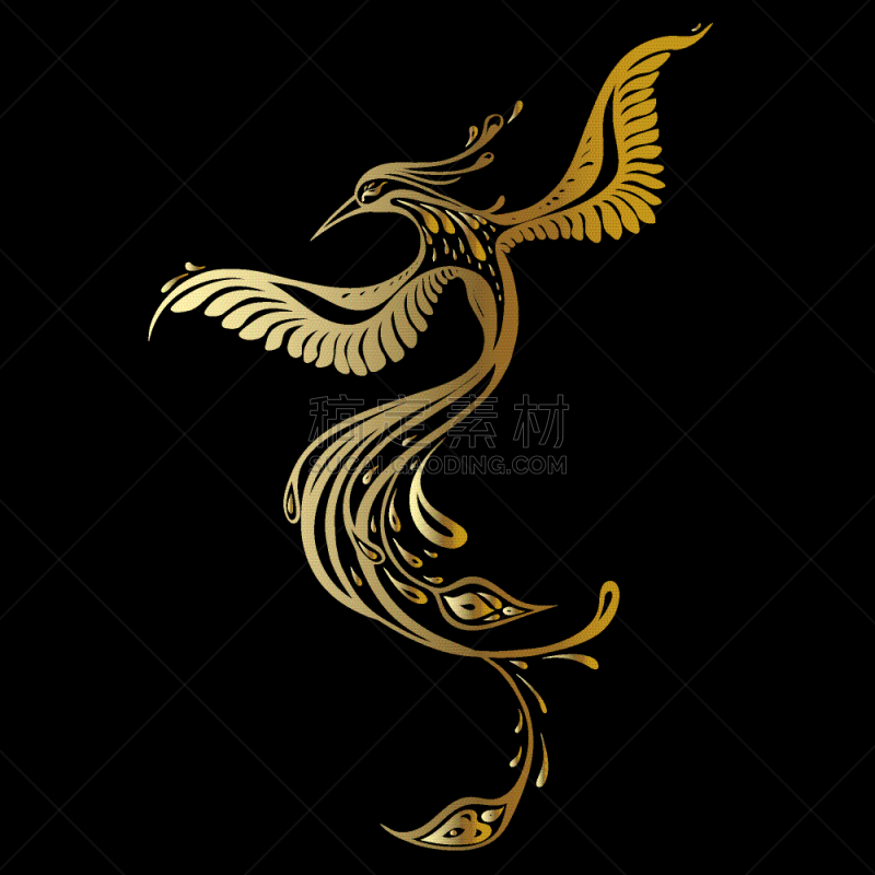 自然美,孔雀,热带鸟,东方人,白色,式样,螺旋花纹呢,华丽的,性格,华贵