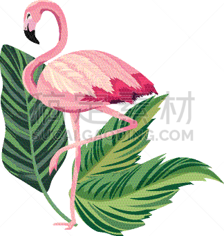 鸡尾酒,卡通,火烈鸟,夏天,华丽的,自然美,时尚,植物学,自然,复古