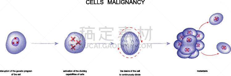 细胞,生物学,微生物学,健康保健,志贺氏菌病,弧菌,动物,枯草芽孢杆菌,志贺(氏)杆菌