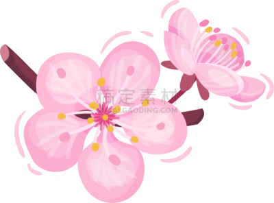 pink cherry blossom on stem decorative
