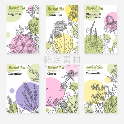 自然,数字6,绿茶,茶,熏衣草,健康保健,圣约翰草,香料,环境,包装