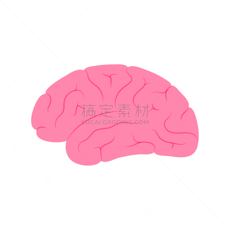 人脑,生理学,生物学,商务,人,半球体,概念,品牌名称,思考