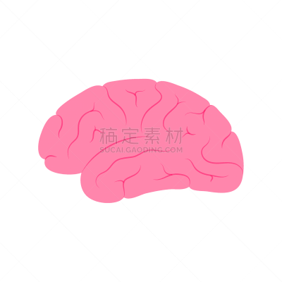 人脑,生理学,生物学,商务,人,半球体,概念,品牌名称,思考
