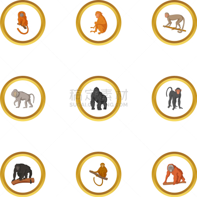 猿,卡通,计算机图标,猴子,分离着色,自然,数字9,动物园,收集,坐