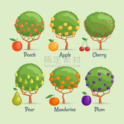 果树,季节,夏天,形状,红色,紫色,绿色,植物学,布置,生长