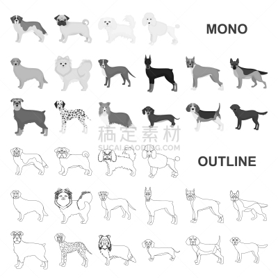 狗,计算机图标,华丽的,纯种犬,大麦町,梗犬,哺乳纲,动物,收集
