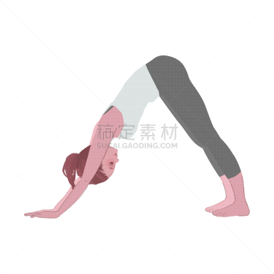 瑜伽,矢量,女人,绘画插图,狗,运动,仅日本人,弹性,地板,瑜珈