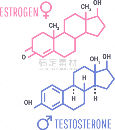 雌激素,荷尔蒙,符号,睾丸激素,健康保健,分子,女人,煤,科学,研究