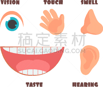 人,动画片,计算机图标,动物鼻子,人的眼睛,使用感官,分离着色,视力,图像,感知