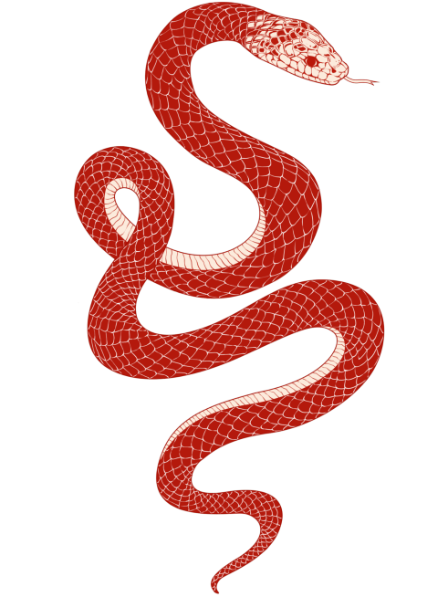 蛇年春节线条插画蛇纹理元素预览效果