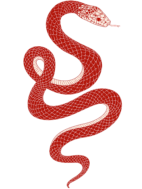 蛇年春节线条插画蛇纹理元素